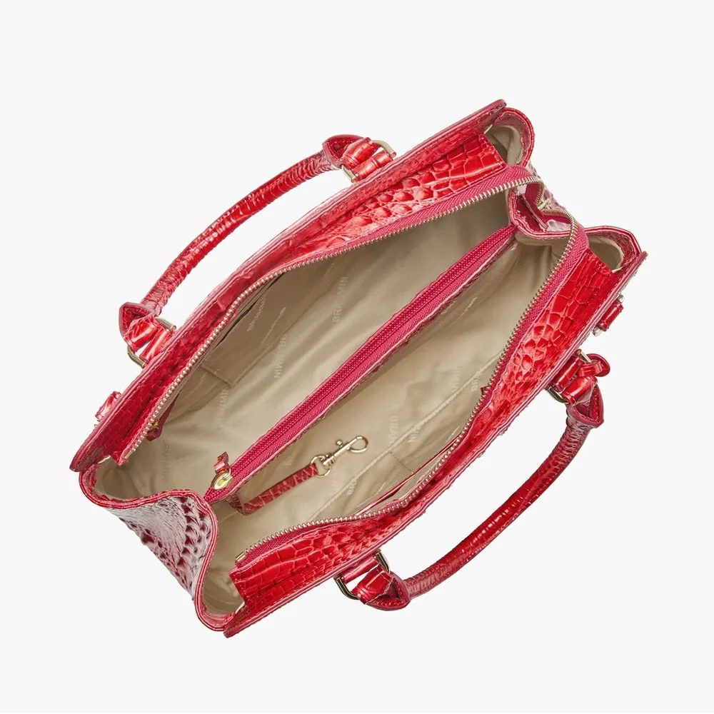 Brahmin small Finley embrace Melbourne - Picture 8 of 12